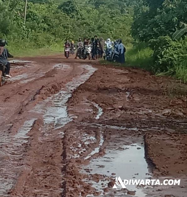 Kondisi jalan yang diluapi lumpur di Kecamatan Batu Putih Kabupaten Kolaka Utara. (Mus)