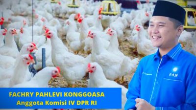 Fachry Konggoasa Bantu 6.000 Ekor Ayam untuk Kelompok Peternak di Konawe