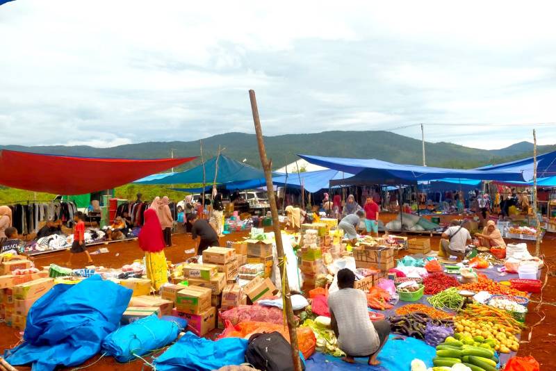 Terobosan Besar, Bupati Konawe Hibahkan Lahan untuk Wujudkan Pasar Rakyat Routa 2 1764921879254