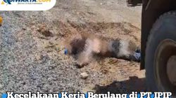 Kecelakaan Kerja Berulang di PT IPIP Pomalaa, Seorang Pekerja Tewas