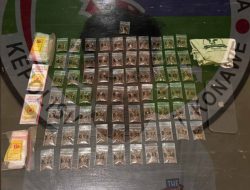 Simpan 68 Saset Tembakau Gorila, Security Salah Satu Perusahaan di Konawe Diamankan Polisi