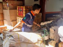 Tumbuh 17 Persen, Kinerja Angkutan Retail KAI Logistik Sepanjang Semester I 2026 Semakin Positif